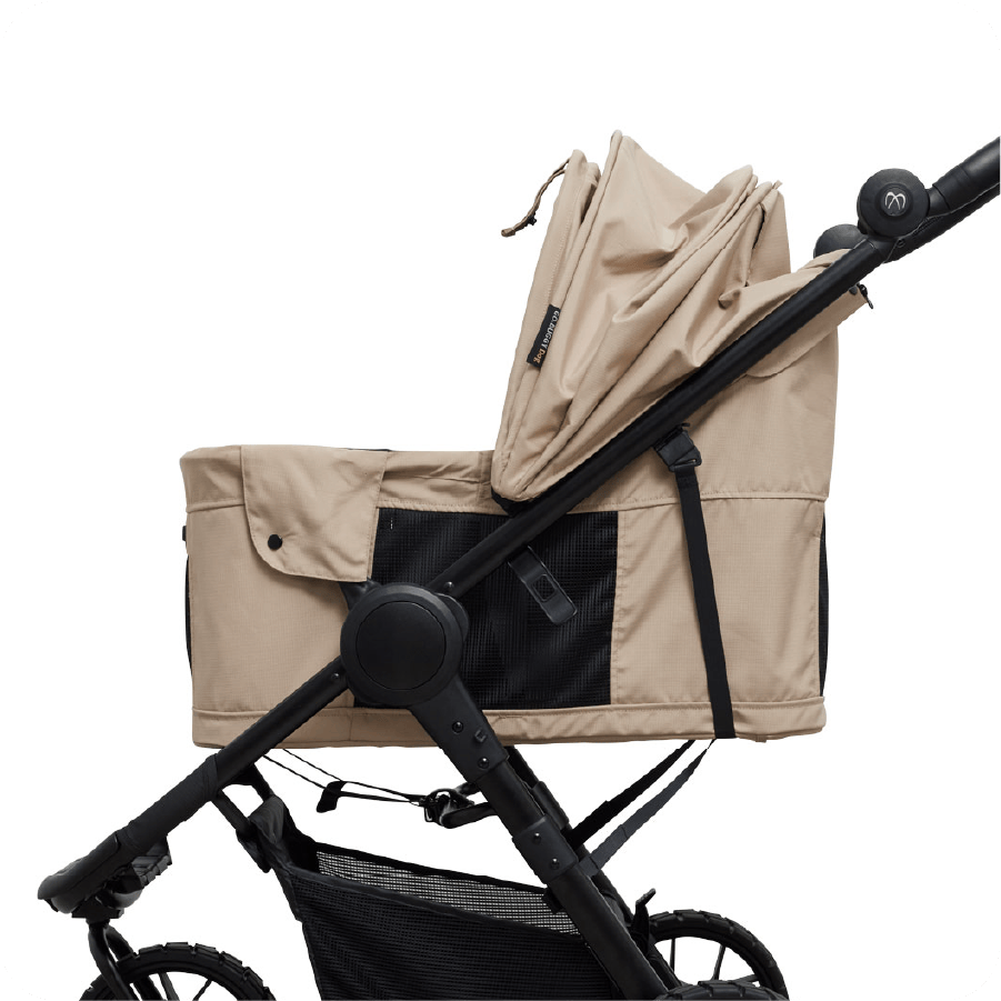 ビッグシェード02